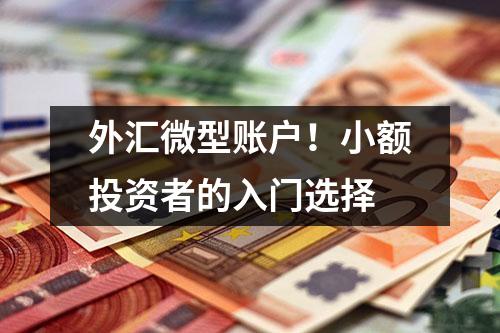 外汇微型账户！小额投资者的入门选择