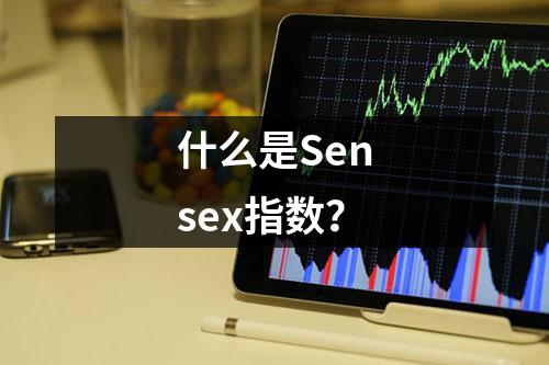 什么是Sensex指数？