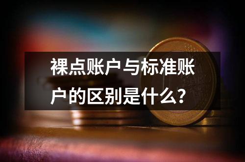 裸点账户与标准账户的区别是什么？