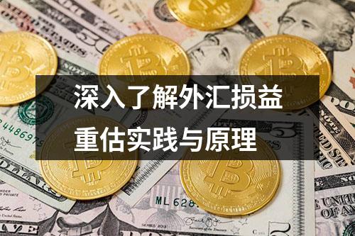 深入了解外汇损益重估实践与原理