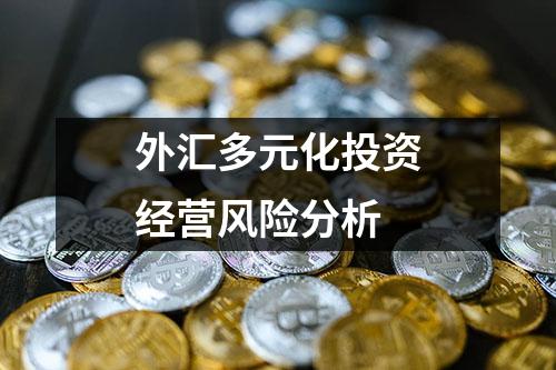 外汇多元化投资经营风险分析