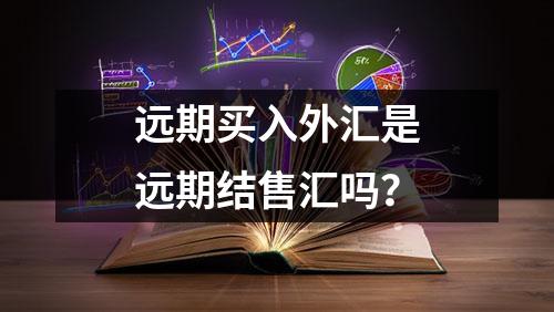 远期买入外汇是远期结售汇吗？
