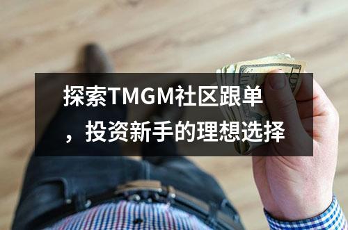探索TMGM社区跟单，投资新手的理想选择
